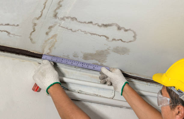Reliable Water Damage contractor in Lake Orion, MI by Water Damage Irwin
